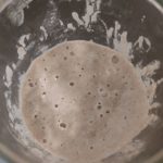 Sauerteiganstellgut