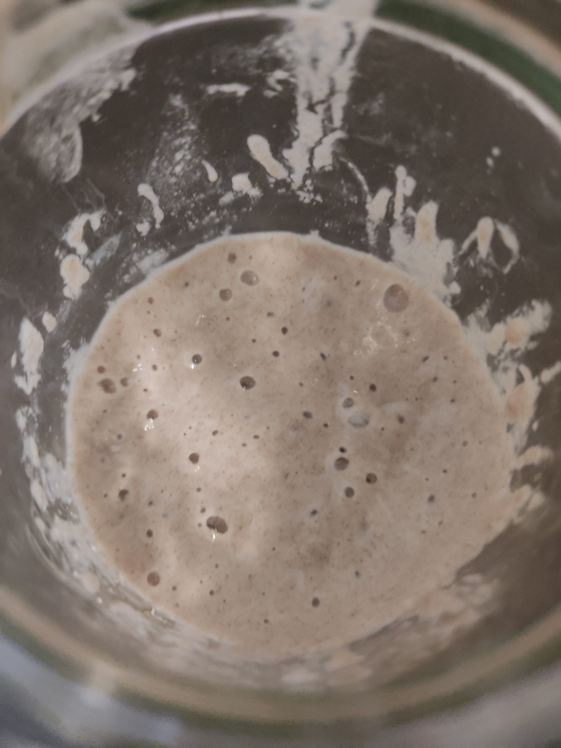 Sauerteiganstellgut