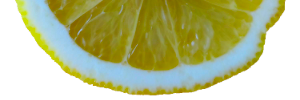 Rezepte
