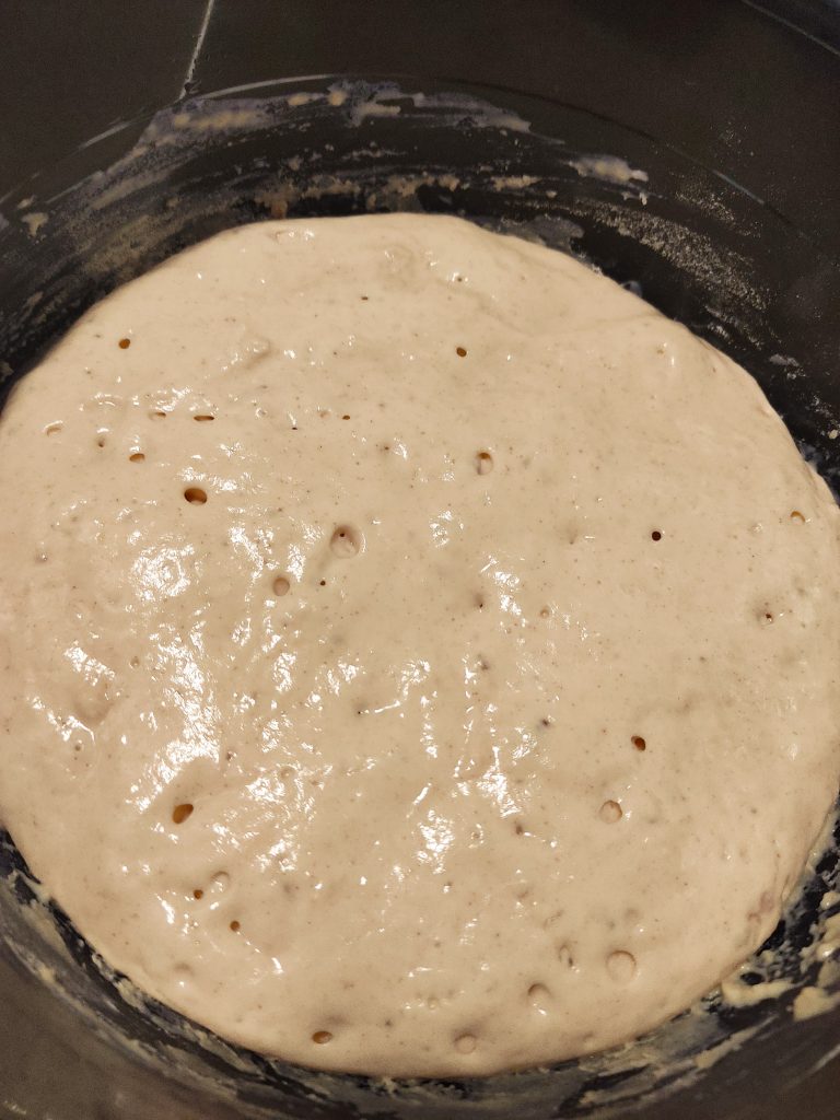 Pouliche Burger-Buns